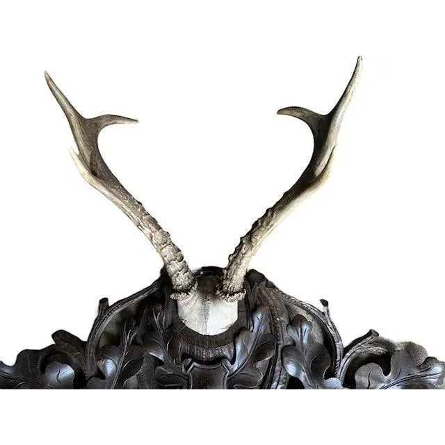Early 20th Century Black Forest Wood Carved Antler Rack For Sale - Image 4 of 4