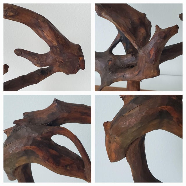 1994 Wood Sculpture "Circle of Life" Signed Nicolae Serban Transylvania 18"w Modernist Expressionist Folk Art For Sale - Image 12 of 12