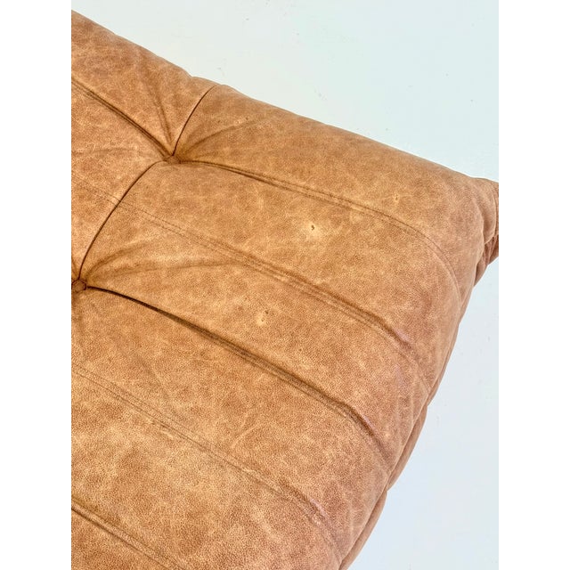 Togo Armchair with Ottoman in Cognac Leather by Michel Ducaroy for Ligne Roset, 2000s, Set of 2 For Sale - Image 11 of 14