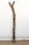 Wood 78" Tall Antique African Dogon Ladder For Sale - Image 7 of 8