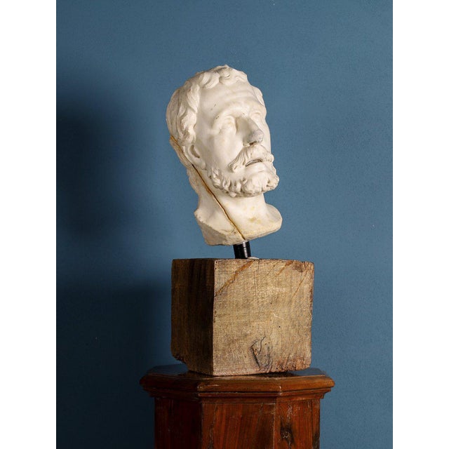 Girolamo Ticciati, Male Head with Beard and Wavy Hair, 18th Century, Marble For Sale - Image 4 of 8