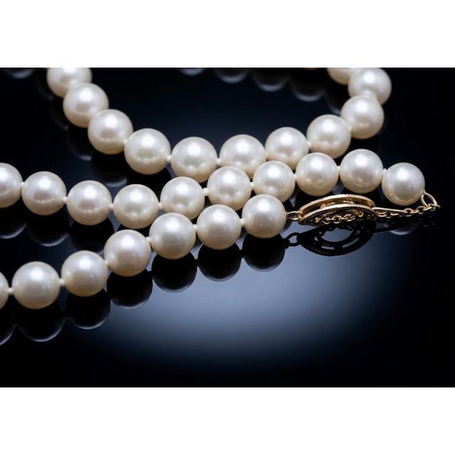 14k Gold Akoya Pearl Necklace With Pink Undertones For Sale - Image 4 of 7