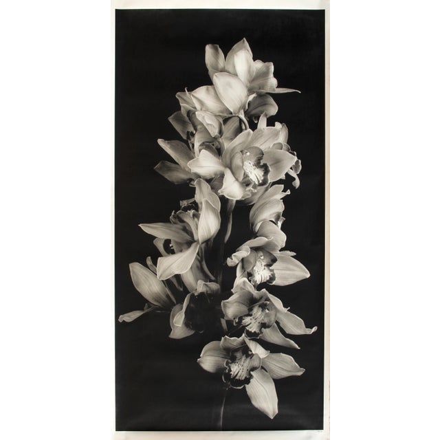Photorealism Cascade of Orchids in Black and White, Jonathan Singer, Photography For Sale - Image 3 of 3