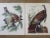 Realism 1964 "The Audubon Folio" Original Edition Set of Bird Study Prints Text Book by George Dock Jr. For Sale - Image 3 of 13