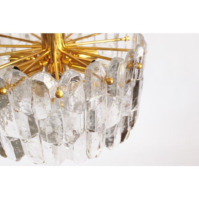 Gold Murano Glass and Brass Palazzo Chandelier by Kalmar, Austria, 1970s For Sale - Image 8 of 13