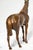 Lovely Antique Cast Metal Jennings Brothers Horse Statue Sculpture Equestrian For Sale - Image 9 of 11