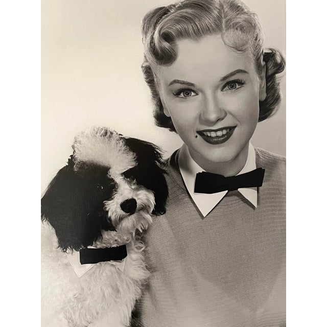 Vintage Hollywood Glamour Photograph Portrait of Connie Francis by Virgil Apger For Sale - Image 4 of 9