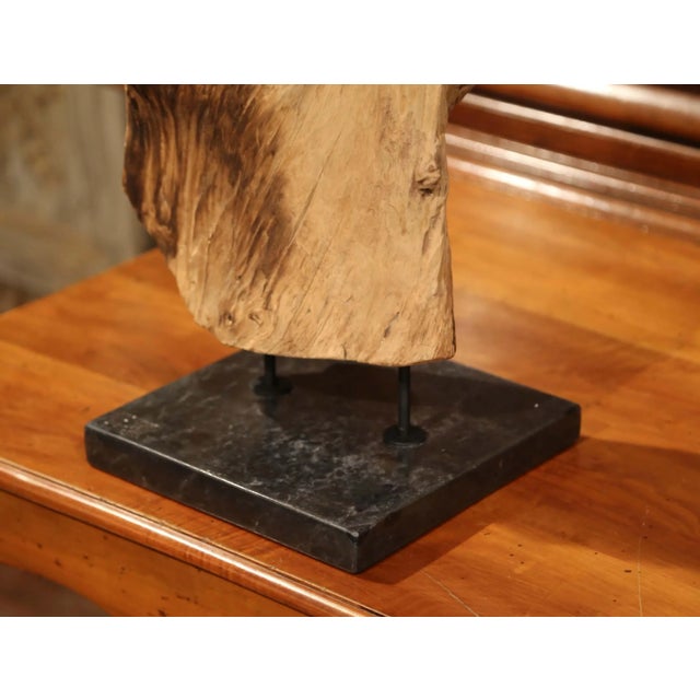 Wood Vintage Driftwood Sculpture on Green Marble Base For Sale - Image 7 of 7