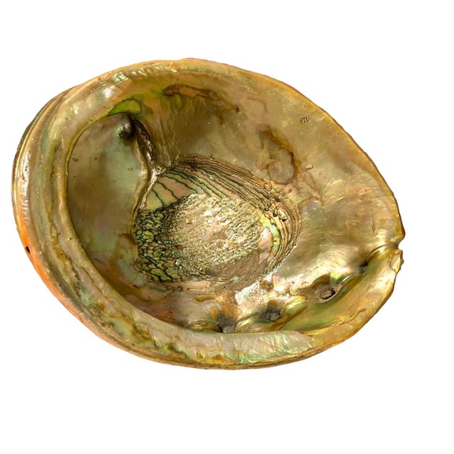 Chinoiserie Vintage Mid-Century Footed Abalone Iridescent Shell Bowl For Sale - Image 3 of 8