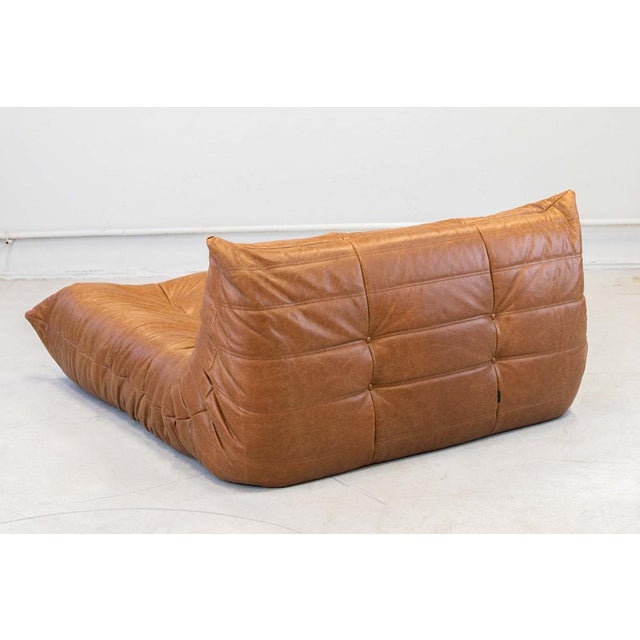 Togo Chaise Lounge in Pine Leather by Michel Ducaroy for Ligne Roset, 1974 For Sale - Image 6 of 18