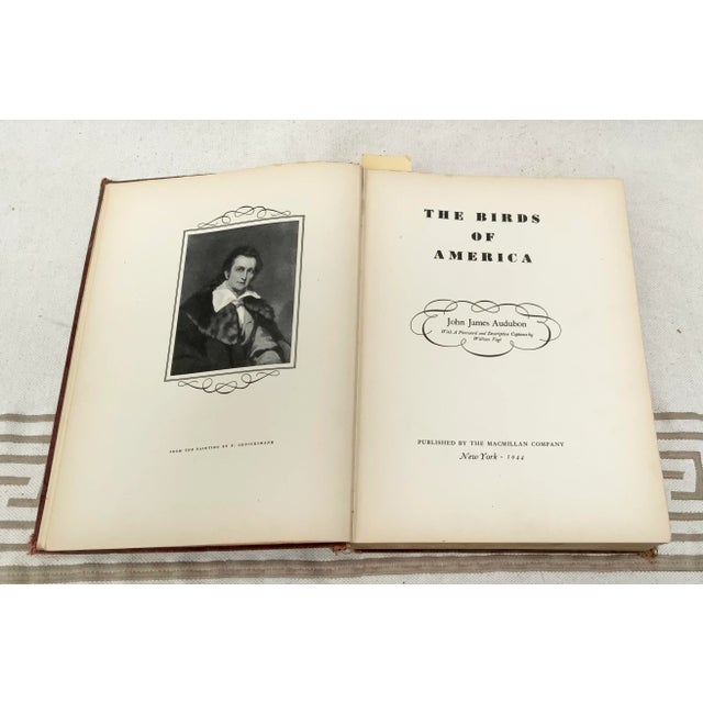 The Birds of America by John James Audubon - 1944 Macmillan Edition - 435 Color Plates A Spectacular Early Edition with...