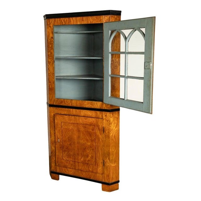 Antique Austrian Figured Ash & Ebony Biedermeier Standing Corner Cabinet 1830 For Sale - Image 9 of 12