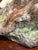 Traditional Boehm Little Owl For Sale - Image 3 of 4