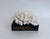 Natural white Cluster Coral specimen with cut and polished base to protect surfaces. This particular piece displays well...