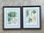 Vintage Framed Botanical Palm Illustrations - Set of 2 For Sale - Image 15 of 15