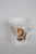 Royal Grafton Fine Bone China Yellow Rose Tea Coffee Cup Made in England 4808b For Sale - Image 9 of 12