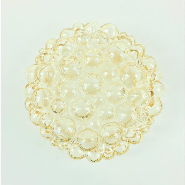 Large Mid-Century Modern Amber Bubble Glass Flush Mount by Helena Tynell for Limburg, Germany, 1960s For Sale - Image 6 of 9
