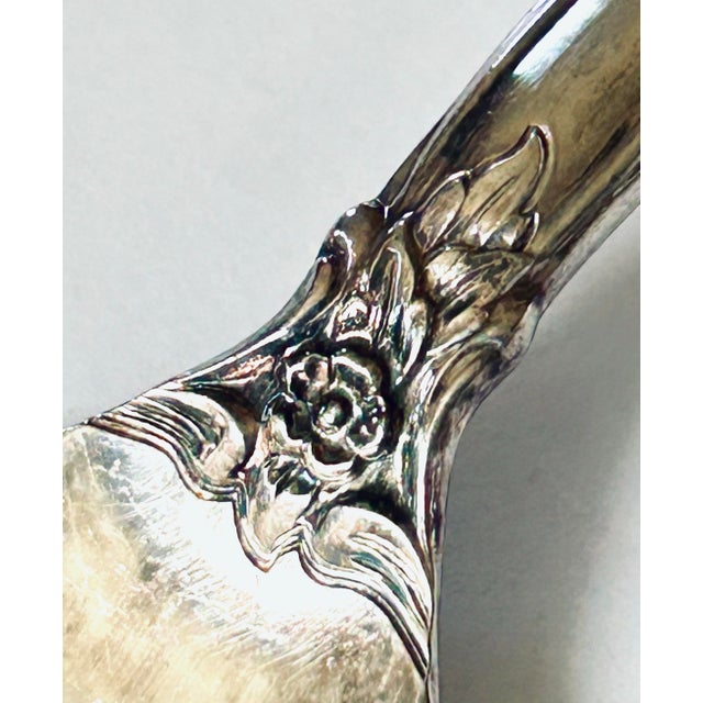 Baroque Large Shell Bowl Serving Spoon For Sale - Image 3 of 4