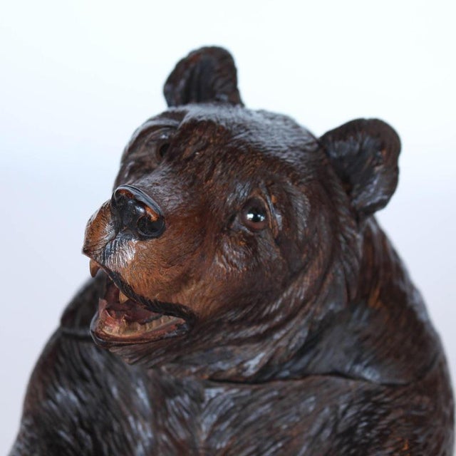 Carved Wooden Bear, 1890s For Sale - Image 11 of 14