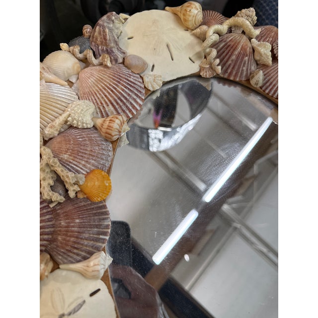 1970s 1970s Sculptural Boho Sea Shell Wall Hanging Mirror For Sale - Image 5 of 5