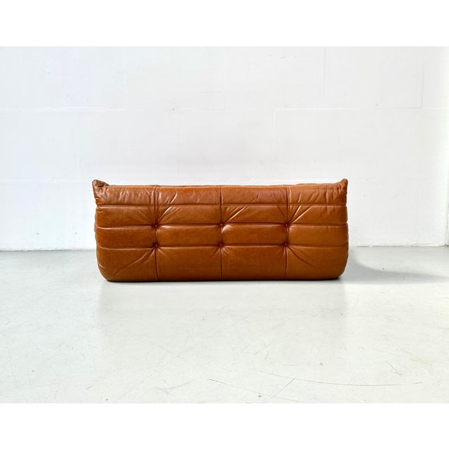 French Togo T3-Seater Sofa in Cognac Leather by Michel Ducaroy for Ligne Roset For Sale - Image 12 of 14