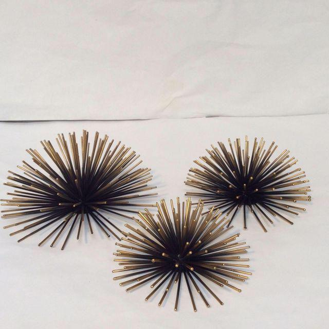 Gold Tipped Sea Urchin Wall Decor Set of 3 Chairish