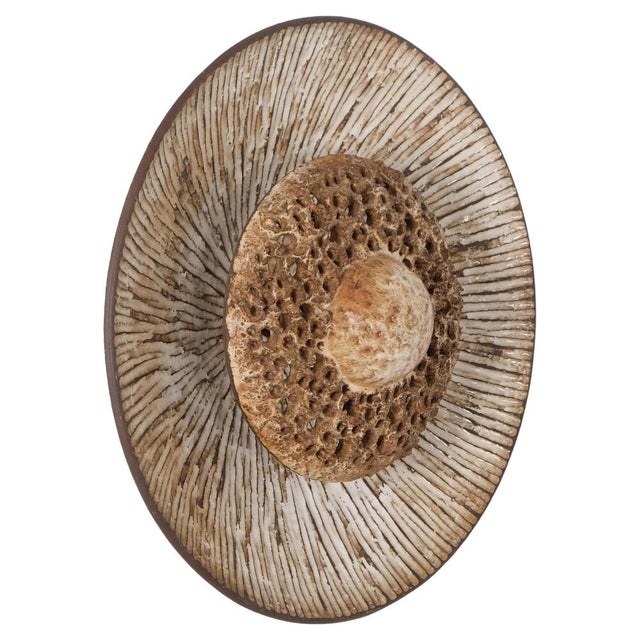 Brown Danish Solen Wall Lamp by Fridtjof Sejersen, 1970s For Sale - Image 8 of 8