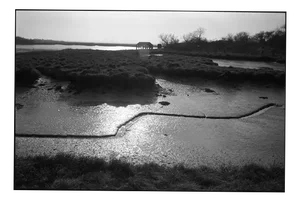 Paul Cooklin, Mud Lines II, Silver Gelatin Photograph, Limited Edition of 10