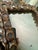 Spanish Colonial Style Gilt Wood Wall Mirror For Sale - Image 12 of 17