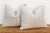 Set of 2, Linen Stag Cactus Silk Moroccan Pillows For Sale - Image 4 of 8