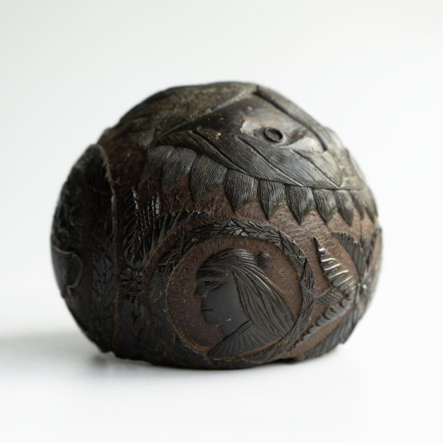 Antique Sailors Bugbear, Naive Folk Art Carved Coconut, Late 18th/Early 19th Century For Sale - Image 11 of 17