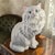 Mid-Century Modern Vintage Ceramic Life Size White Green Eyes Cat Figurine 14'' High For Sale - Image 3 of 10