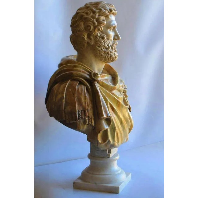 End 19th Century Italian Bust Antonino Pio in Carrara Marble For Sale - Image 6 of 7