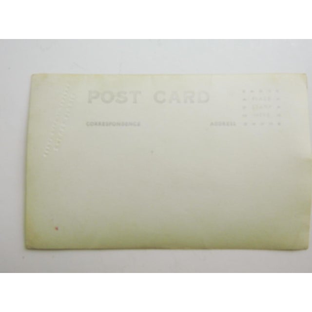 Early 20th Century Photograph Montana Cowboy Great Falls Montana For Sale - Image 4 of 4