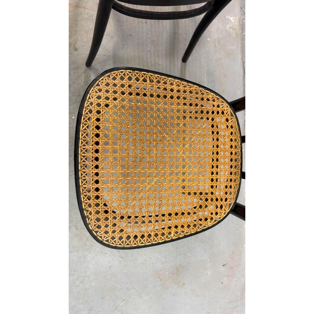 Black Bentwood Vienna Straw Seats, 1960s, Poland, Set of 2 For Sale - Image 8 of 12