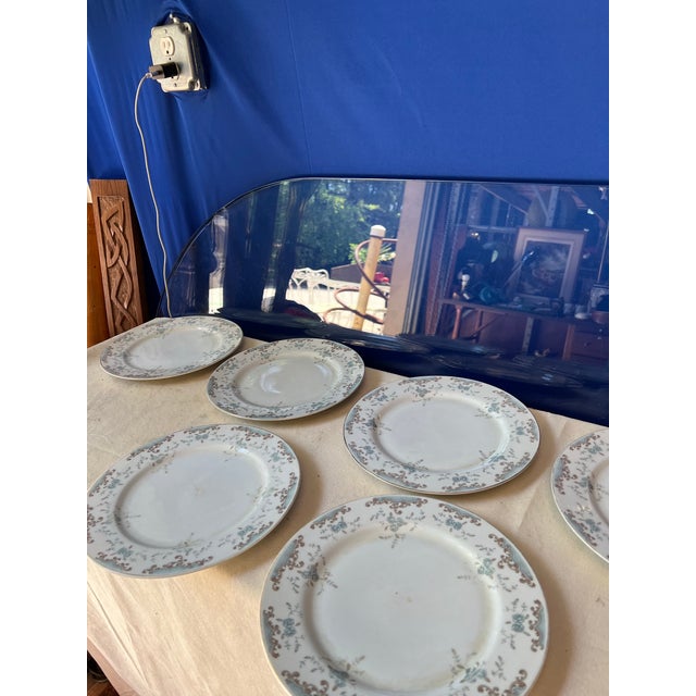 1970s Collection of Vintage Plates With Blue Rose Details- Set of 6 For Sale - Image 5 of 6