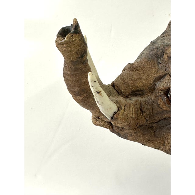 Wonderful Whimsical Hand Built Pottery Elephant For Sale - Image 9 of 12