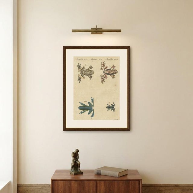 Bertuch, Four Colourful Tree Frogs, 1815, Print For Sale - Image 10 of 12