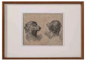 Stefano Della Bella, Camel Study, Original Etching, 1640s, Framed