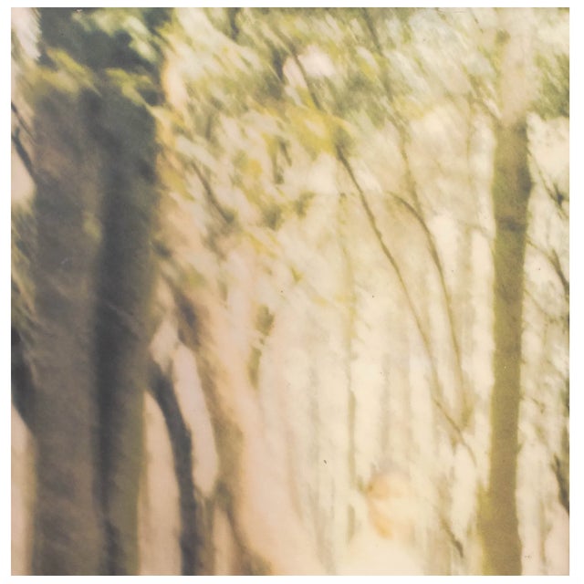 2010s Lola Schnabel (American, 1981) - Woman in the Forest Iris Print and Paint, Beautifully Framed, 2016 For Sale - Image 5 of 6