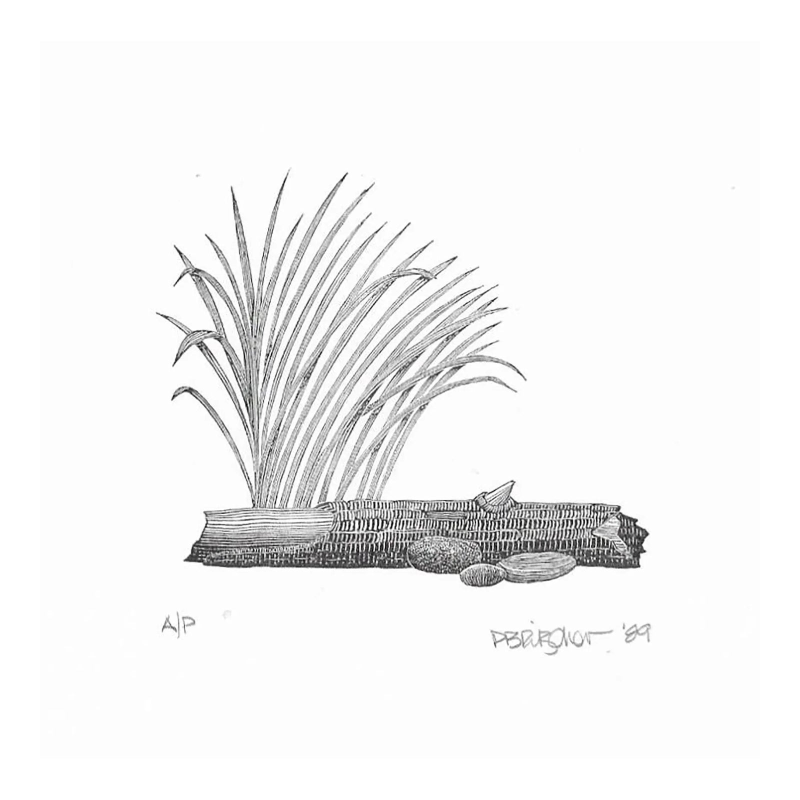 1989 Paul Ritscher Nature Wood Engraving | Chairish
