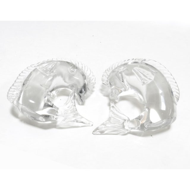 1960s 1960s Licio Zanetti Murano Clear Glass Fish Sculptures - A Pair For Sale - Image 5 of 10