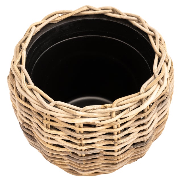 With its soft, curved silhouette, the Belly Rattan Planter adds organic elegance to your greenery. Designed for generous...