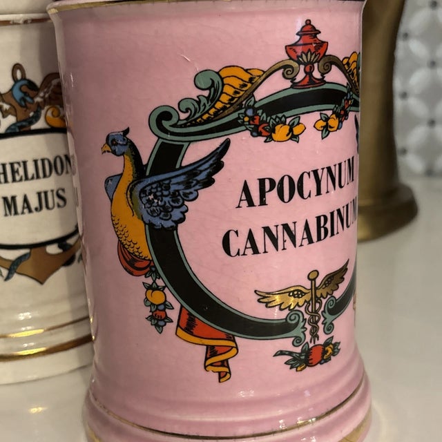 Antique 19th Century Parisian Pharmacy Latin Apothecary Ceramic Jar Set 3 For Sale - Image 4 of 12
