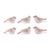Plastic Glittered Bird Figurine (Set of 6) For Sale - Image 7 of 7
