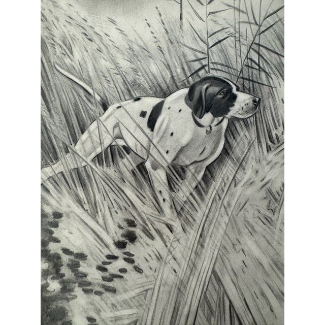 Original graphite pencil drawing by American artist and illustrator Theodore E. Schrock (1879–1952), depicting a bird dog...