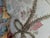 Custom Scalamandre Silk Floral Throw Pillows With Cord Work and Tassel Fringe For Sale In New York - Image 6 of 13