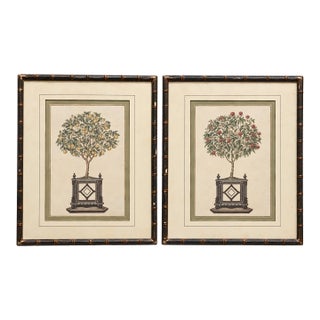 Vintage Chinoiserie Fruit Tree Botanical Prints in Faux Bamboo Frames - Pair For Sale