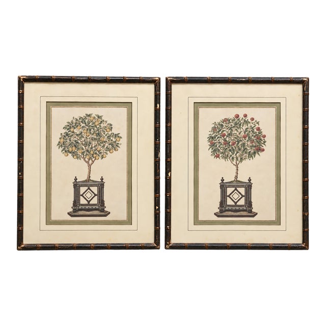 Vintage Chinoiserie Fruit Tree Botanical Prints in Faux Bamboo Frames - Pair For Sale