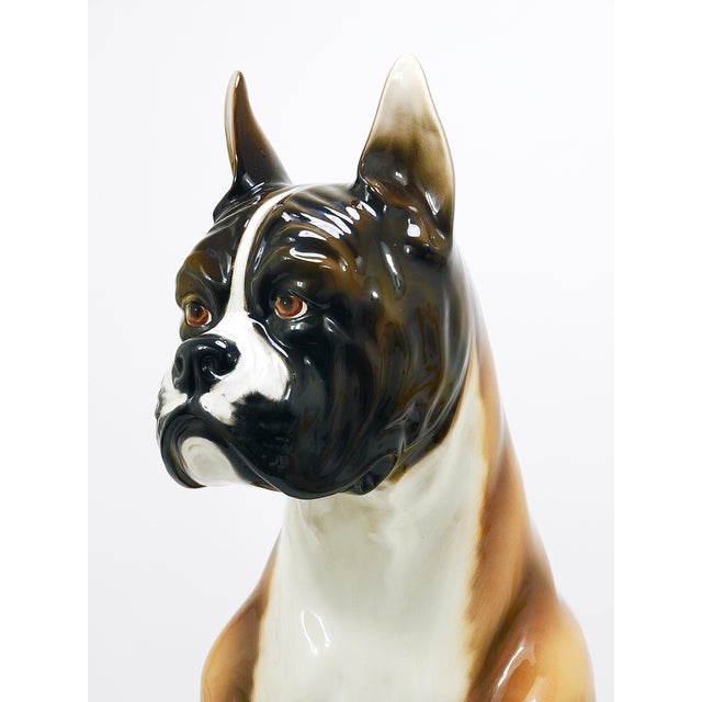 Boxer Dog Life-Size Majolica Statue Sculpture in Glazed Ceramic, Italy, 1970s For Sale - Image 9 of 18